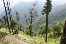 Landour, Travel, Rokeby Manor, Landour Loop, Walking Trail, Holiday In The Hills, Uttarakhand, Mussoorie